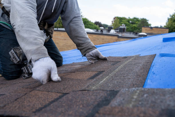 Best Cold Roofs  in Cape Charles, VA