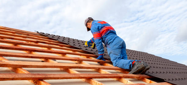 Best Skylight Installation and Repair  in Cape Charles, VA